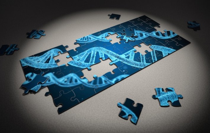 Ancient DNA Reveals Some Northern Europeans Came From Siberia