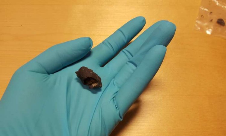 Oldest Scandinavian DNA Found In Ancient Chewing Gum