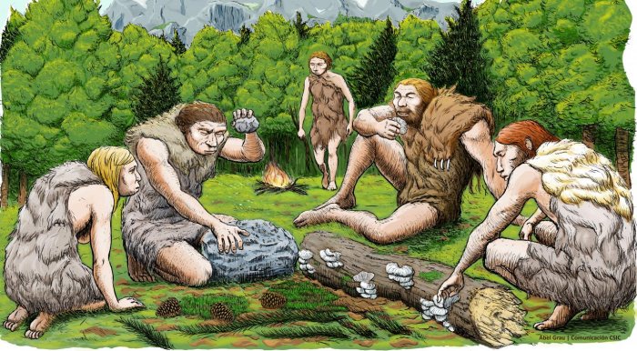 neanderthals