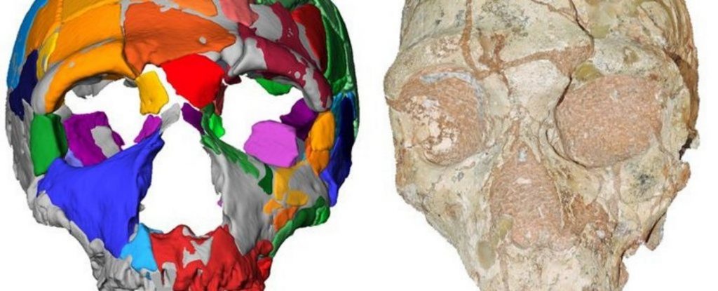 Mysterious 210,000-Year-Old Apidima Skull May Have Re-Written Human History