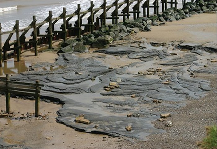 Human Footprints Dating Back 800,000-Year Discovered In Norfolk UK
