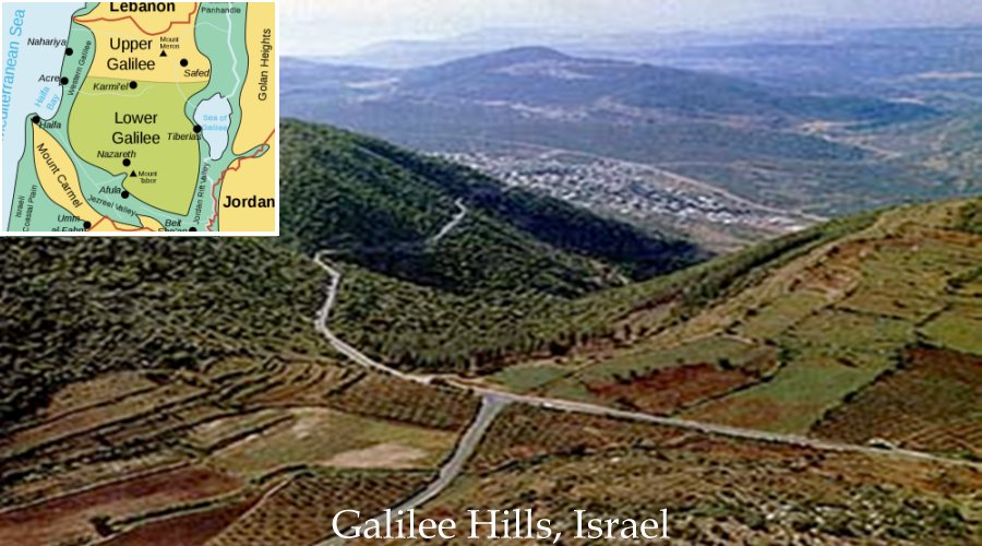 Galilee Hills