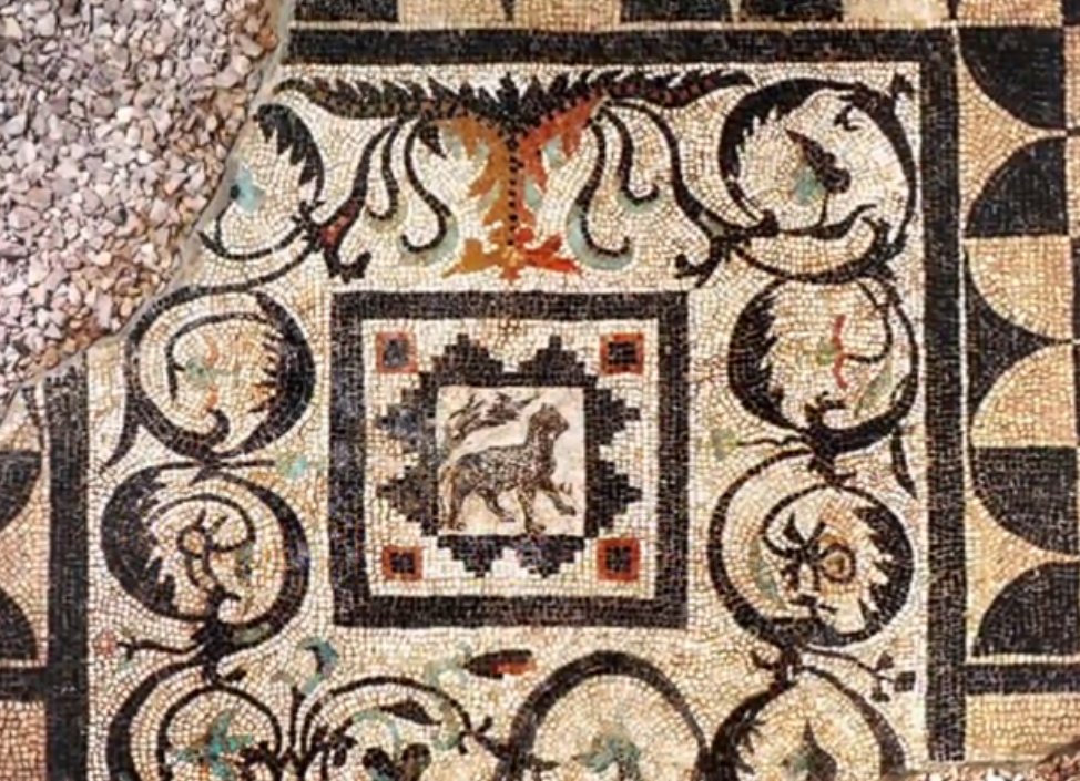 A new mosaic was found in Alexandria by Polish archaeologists