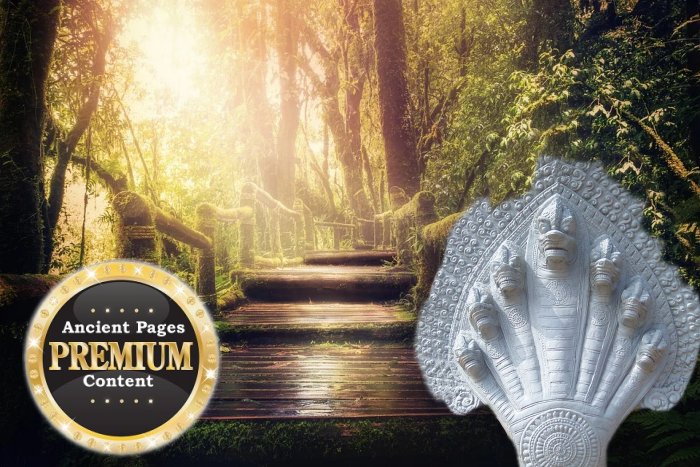 Secrets Of The Jungle And Hidden Ancient Treasures Of The Serpent People