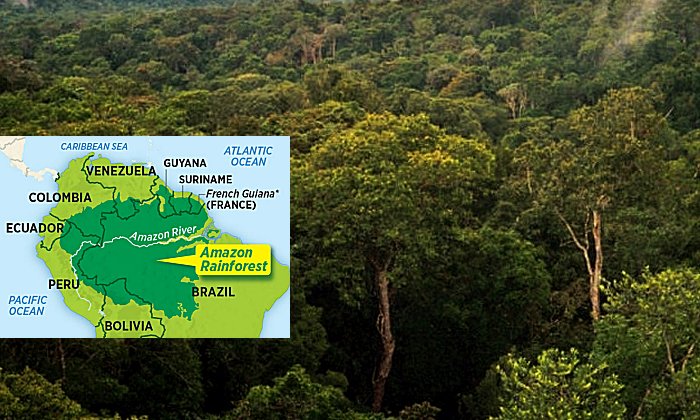 Amazonian biodiversity