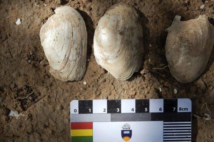 Aboriginals lived in South Australia for 29000 years