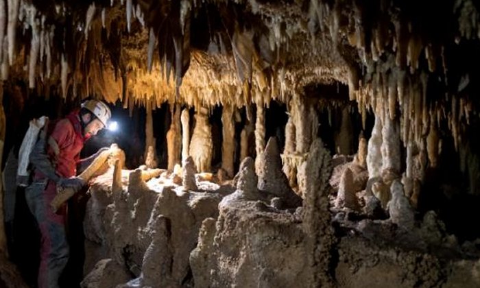 Researchers sampled this 50-cm long stalagmite in the Pozzo Cucù cave, in the Castellana Grotte area (Bari) and they carried out 27 high-precision datings and 2,700 analyses of carbon and oxygen stable isotopes. Photo: O. Lacarbonara