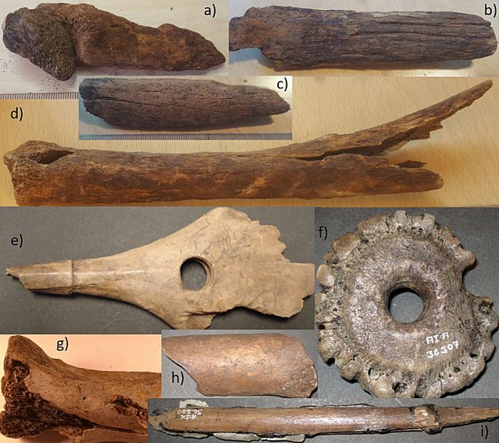 ccelerated Bone Deterioration in Last 70 Years at Famous Mesolithic Peat Bog in Peril