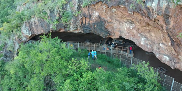 200,000-Year-Old Grass Bed Discovered In South Africa's Border Cave