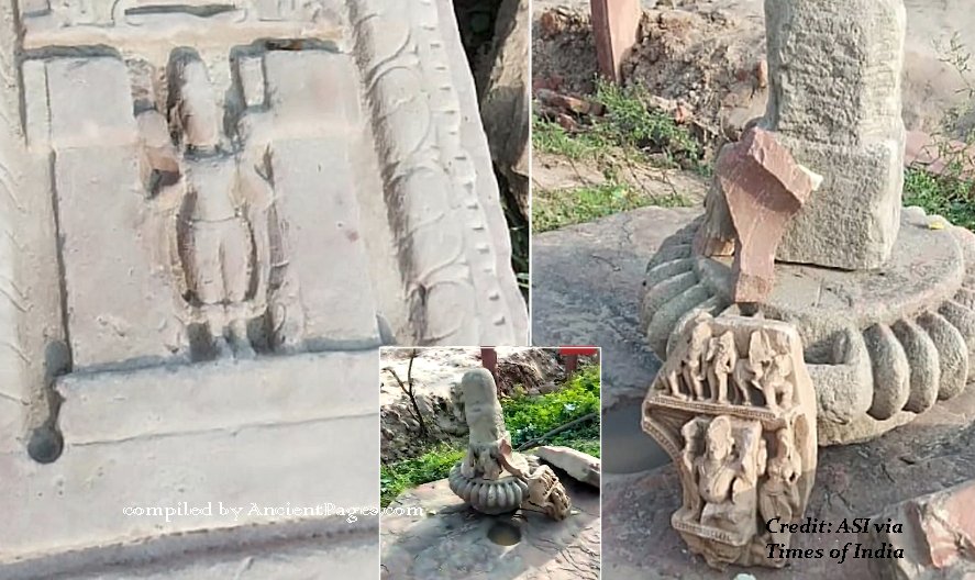 Amalaka among the relics of Pratihara-era temple