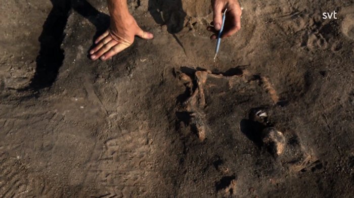 Unique 8,400-Year-Old Burial Of A Dog Different From Modern Dogs Discovered In Sweden 