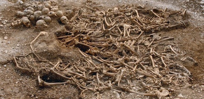 World's Largest DNA Study Of Viking Skeletons Re-Writes Ancient History