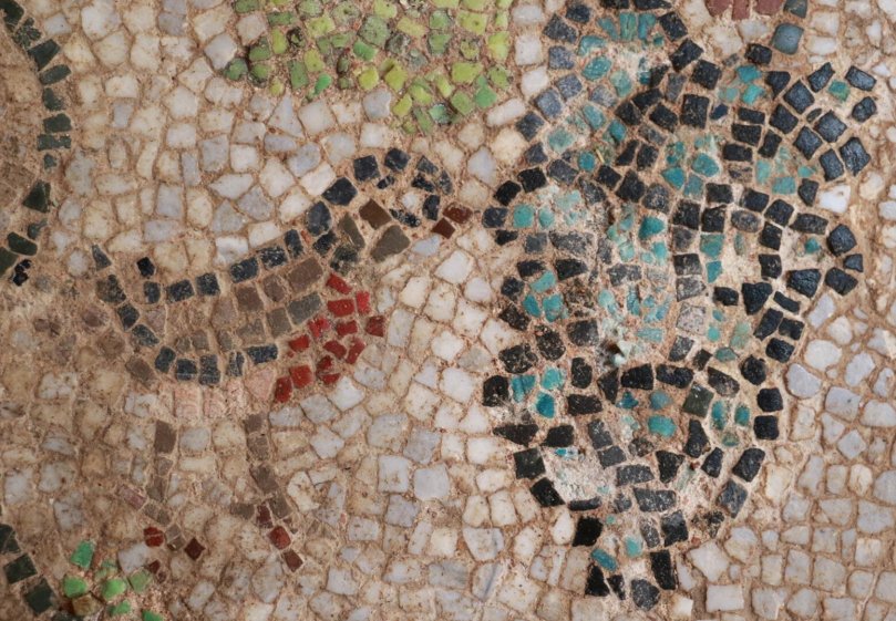Mosaics similar to those of Zeugma, found in Sinop, Turkey