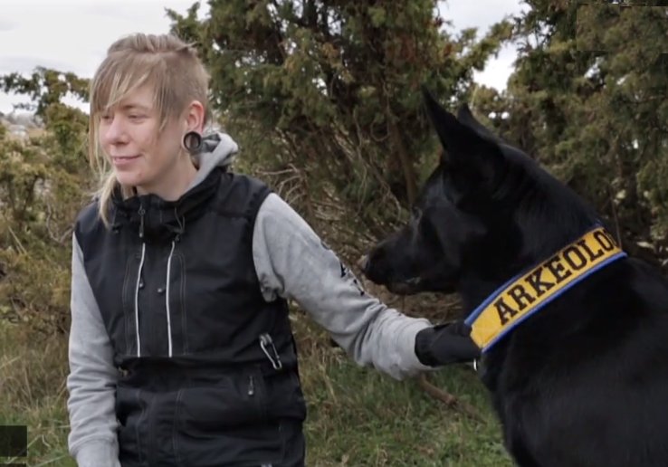 Fabel: World’s First Archaeology Dog Helps To Unravel The Mystery Of Sandby Borg