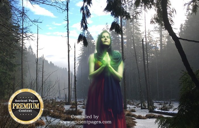Sinister Manchac Swamp And The Chilling Curse Of Julia Brown