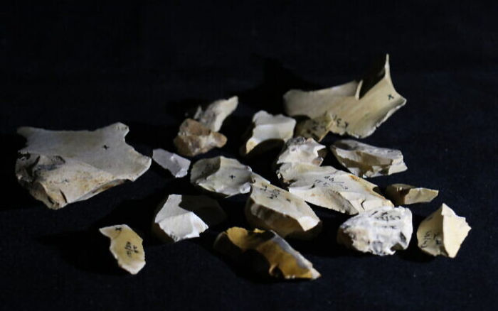 Evidence Humans Used Fire 1 Million Years Ago In Israel Discovered By Artificial Intelligence