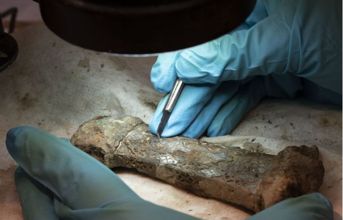 Outstanding Discovery Of Unique Swords From The Viking Age Near Gausel Queen’s Grave