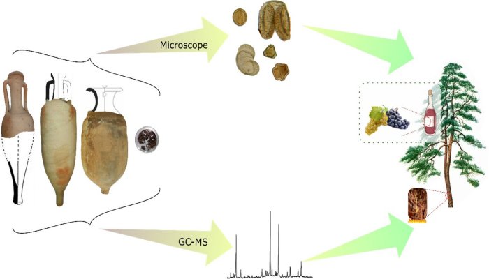 From the amphorae to understanding the content; this multi-analytical analysis relied on archaeobotany and molecular identification. Credit: Louise Chassouant, CC-BY 4.0 (creativecommons.org/licenses/by/4.0/)