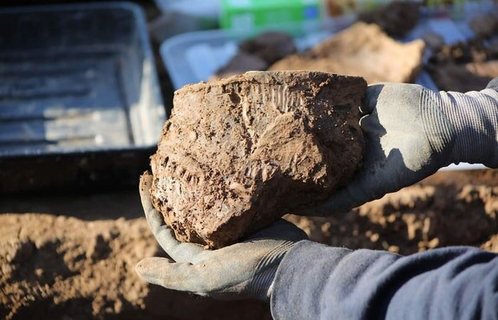 Bronze Age Finding Offer News Clues On The Beginnings Of Cardiff
