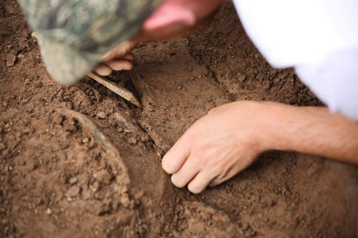 Bronze Age Finding Offer News Clues On The Beginnings Of Cardiff