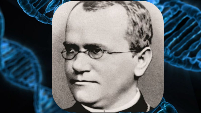 Evidence Mendel Discovered The Laws Of Inheritance Decades Ahead Of His Time