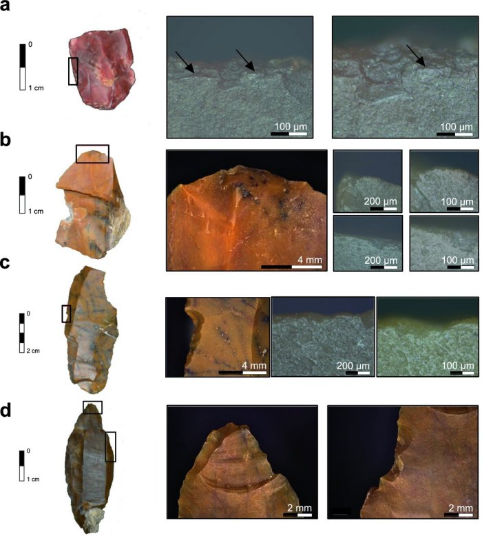 Use-wear traces found on lithic artifacts from Românești-Dumbrăvița I, GH3. (a) Localized microfracturing and compact polish of the lateral edge characteristic of hard animal material scraping (on the right side, 10 × and 20 × objective); (b) Abrasive polish and rounding of the distal end of the ventral surface characteristic for hide-scraping (on the right side, 10 × and 20 × objective); (c) Striated and extensive polish on the ventral surface of a steeply notched lateral edge characteristic of wood scraping (on the right side, 10 × and 20 × objective); (d) Macrofracture traces found on a lithic artifact. (left) spin-off fracture initiated on the dorsal distal tip on the lateral side with feather termination. (right) lateral ventral notching and edge scarring. Credit: Scientific Reports (2022). DOI: 10.1038/s41598-022-15544-5