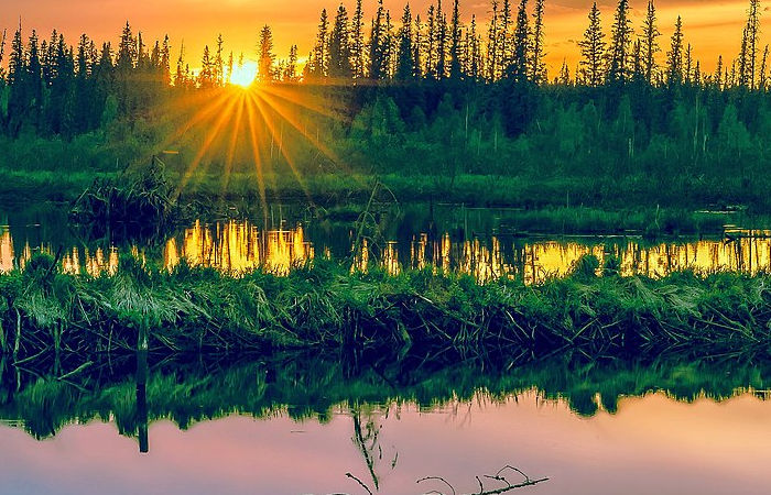 Humans Were Living Around Fort McMurray, Alberta 13,000 Years Ago Scientists Reveal