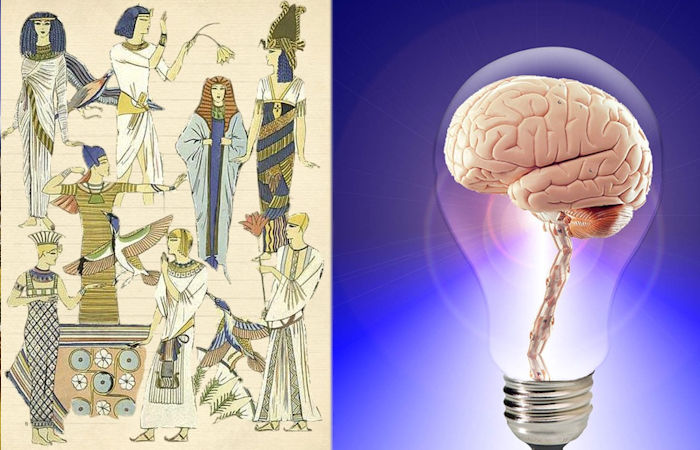 Scientists Investigate - Did The Human Brain Shrink 3,000 Years Ago?