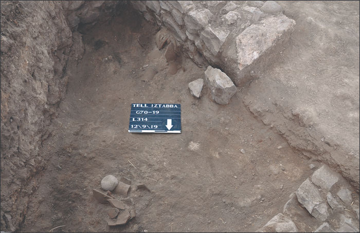 Ancient Town's Destruction Dated With Help Of Chicken Bones And Snail Shells