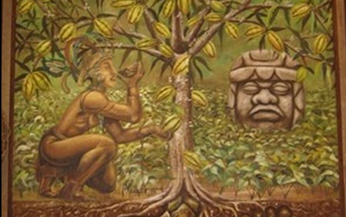 Among Ancient Maya Cacao Was Used In Celebrations And Common To All People