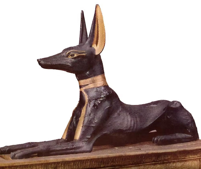 Anubis depicted as a jackal in the tomb of Tutankhamen
