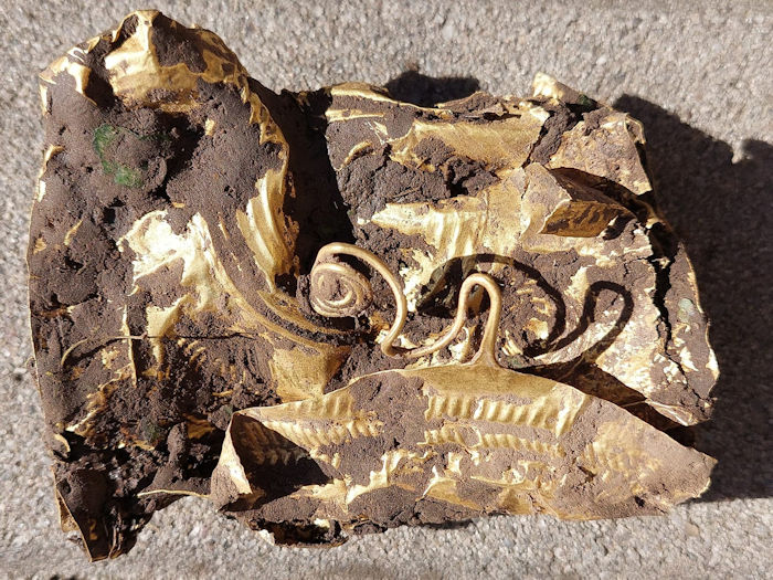 Unique Ornamented Golden Bronze Age Belt Discovered Near Opava, Czech Republic
