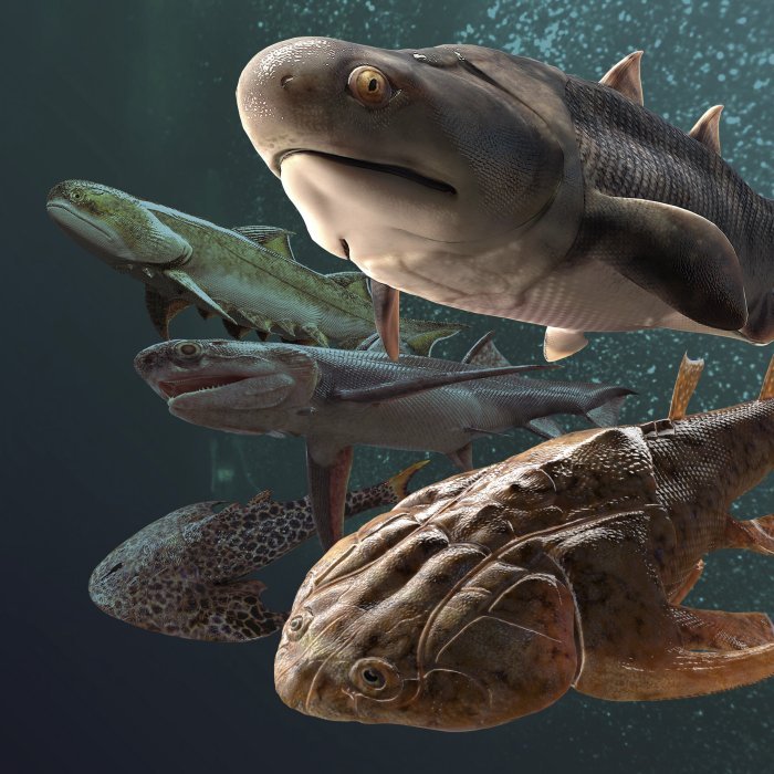 "Missing Link" - Fish Fossils Rewrite Evolutionary History And How Humans Evolved From Fish