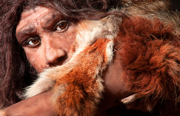 Humans Were Apex Predators For Two Million Years