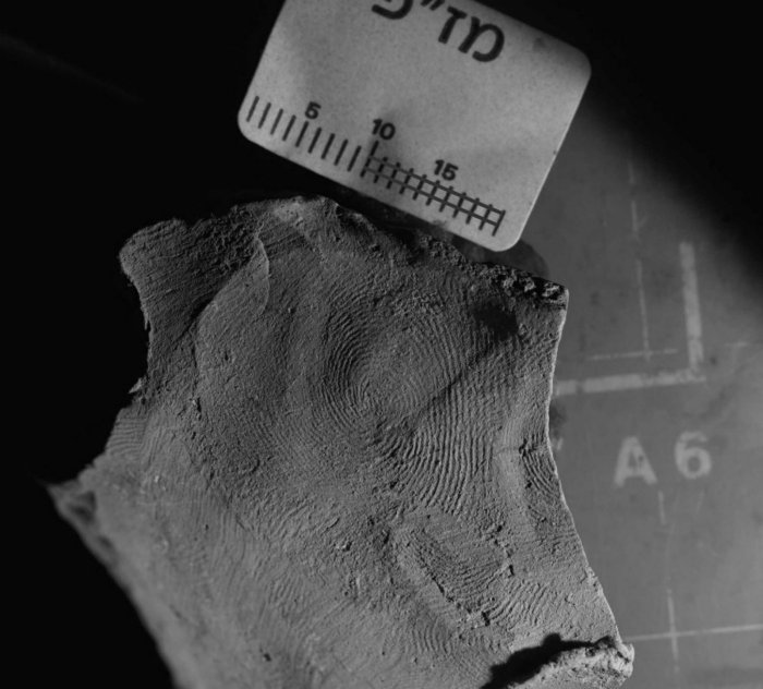 Image credit: Israel Antiquity Authority.