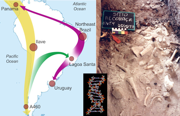 Unexpected And Surprising Results Of Ancient DNA Study - Who Were The First People In South America?