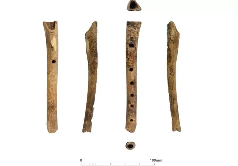 Rare, Well-Preserved Medieval Flute Bone Found In Kent