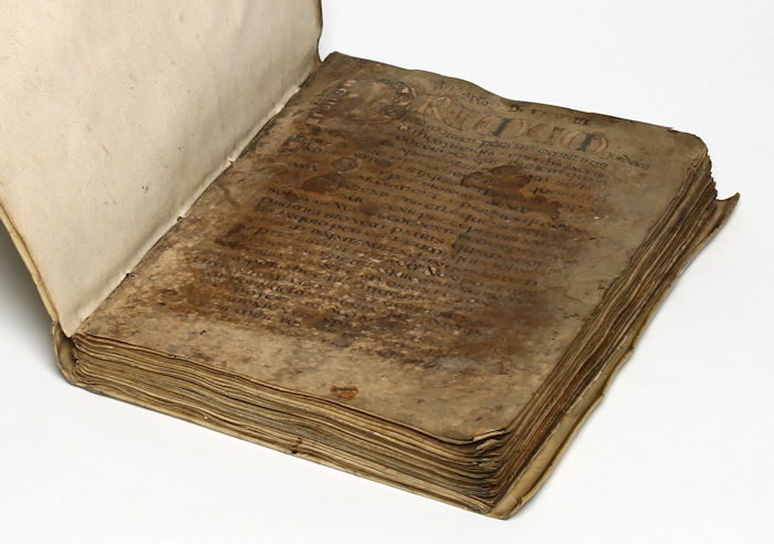 Secretly Engraved Woman Name Discovered In Medieval Manuscript - Who Was Eadburg?