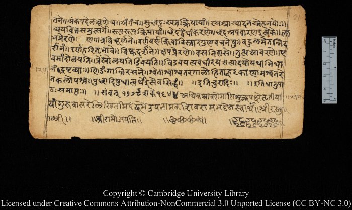 A page from an 18th-century copy of the Dhātupāṭha of Pāṇini (MS Add.2351) held by Cambridge University Library. Credit: Cambridge University Library