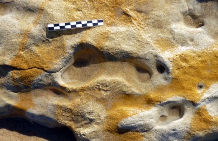One of the hominid footprints analysed. E. Mayoral, Author provided