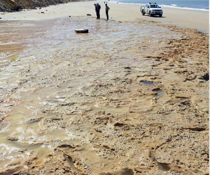 General view of the site at Matalascañas beach, Huelva, and various hominid footprints discovered there. E. Mayoral, Author provided
