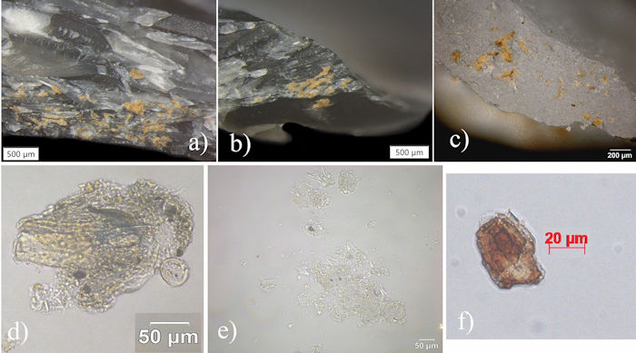 Scientists Unravel Why Humans Used Tiny Flakes 300,000 Years Ago
