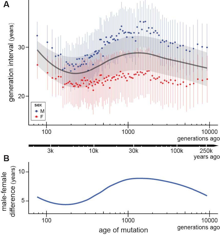 How Did The Average Age Of Women And Men Change Over The Last 250,000 Years? - DNA Study