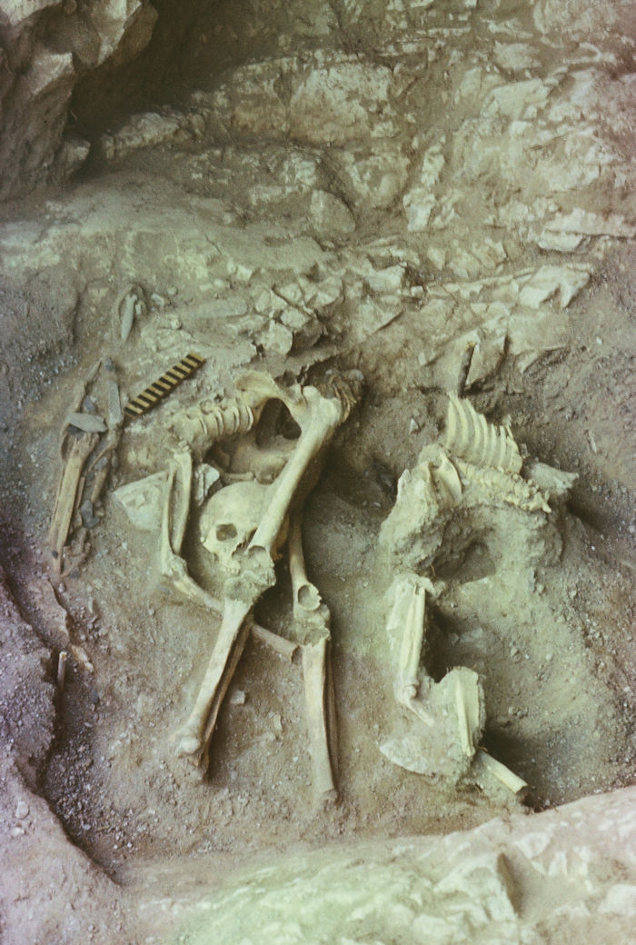 Ancient DNA Reveals Migration From North America Across The Bering Sea