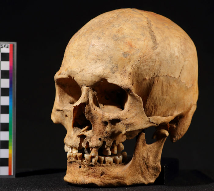 Ancient DNA Reveals Migration From North America Across The Bering Sea