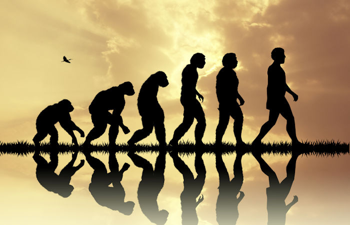 Mystery How Humans Lost Their Body Hair Solved By Scientists