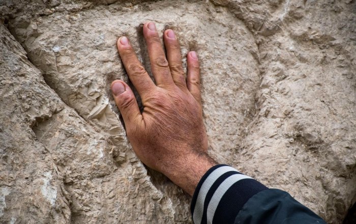 Image credit: Israel Antiquities Authority