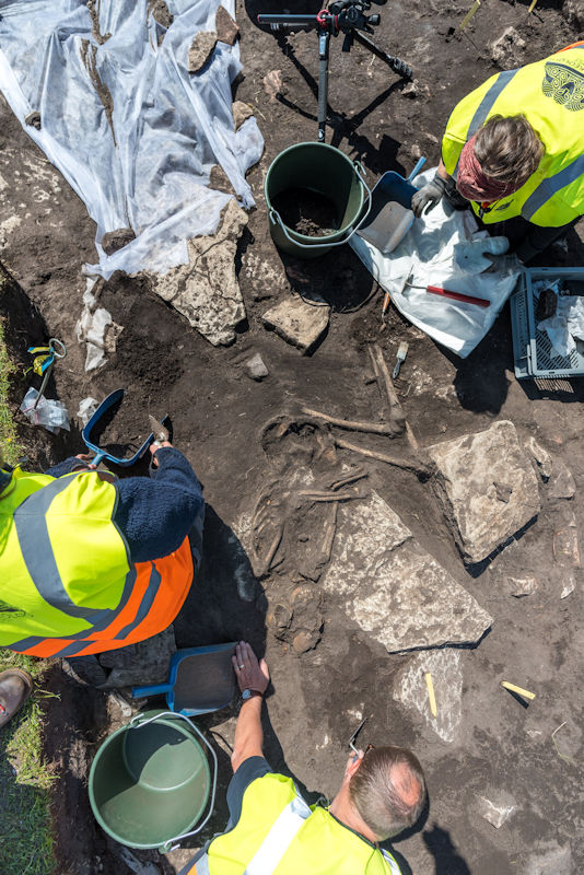 DNA Reveals How The Vikings Changed Scandinavian Migration And Ancestry