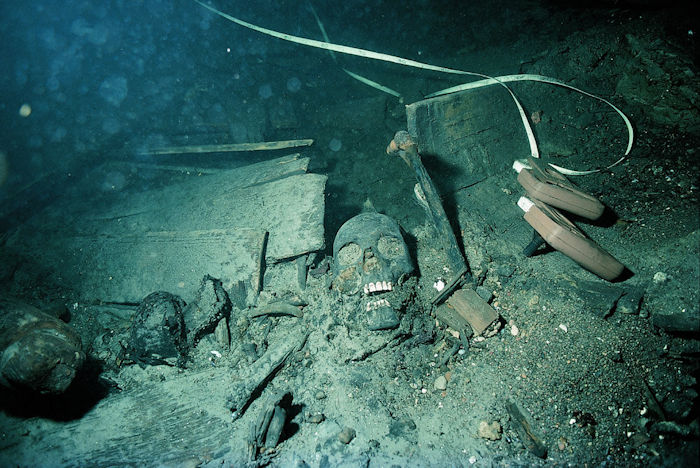 DNA Reveals How The Vikings Changed Scandinavian Migration And Ancestry