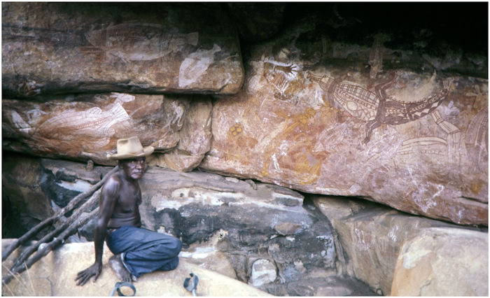 Solving The Bark Painting Mystery In Australia